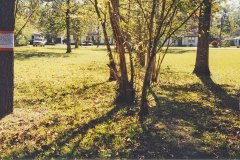1999_1210Tree_poem_tree2